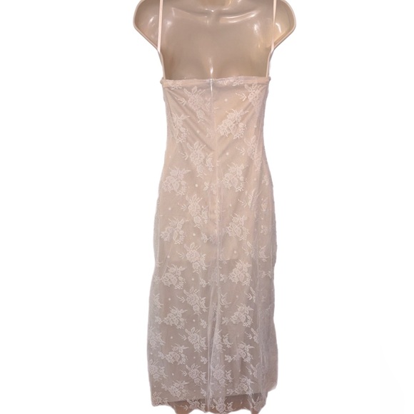 Elegant Sheer Lace Dress - Picture 4 of 6